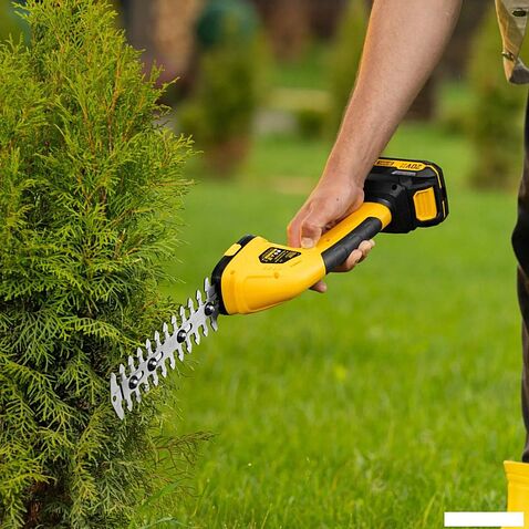 Кусторез + ножницы Denzel GS-20 59432 (с 1-им АКБ)