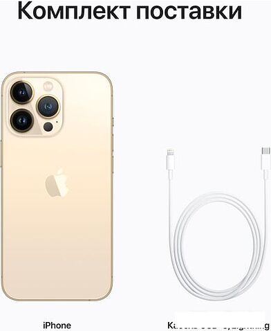 Смартфон Apple iPhone 13 Pro 256GB (золотой)