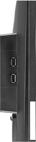 Монитор Iiyama Red Eagle G-Master G2470HSU-B1