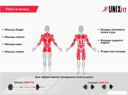 Силовая скамья Unixfit Bench 120P