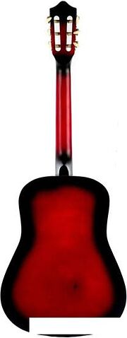 Акустическая гитара Belucci BC3805 RDS (с комплектом аксессуаров)