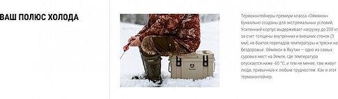 Термобокс Арктика 2600-25-BG 25л (бежевый)