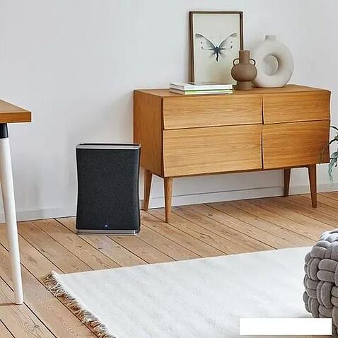 Очиститель воздуха Stadler Form Roger little (черный)