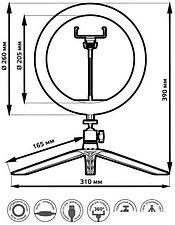 Кольцевая лампа Gauss RL002 Кольцевая лампа Gauss RL002