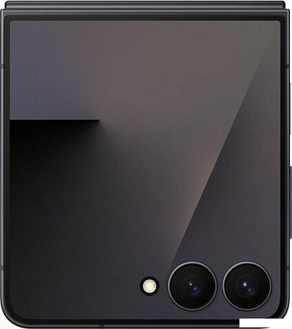 Телефон Samsung Galaxy Z Flip7 SM-F766B 12GB/256GB (черный)