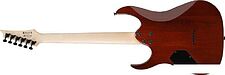 Электрогитара Ibanez GRGR221PA-AQB