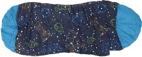 Спальный мешок AceCamp 3978 (синий/кокон)