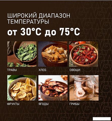 Сушилка для овощей и фруктов Weissgauff WDH 106 Dry Cube