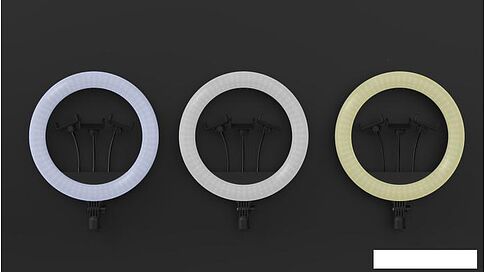 Кольцевая лампа Ritmix RRL-360