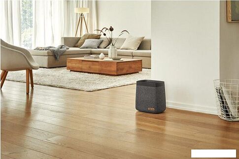 Увлажнитель воздуха Stadler Form Karl