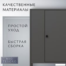 Тумба Mio Tesoro Мини 1 дверь 2.07.03.090.2 (черный)