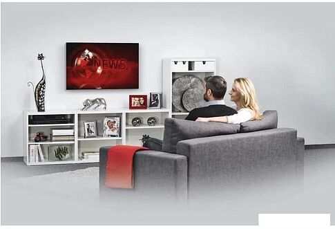 Кронштейн Hama 00220809