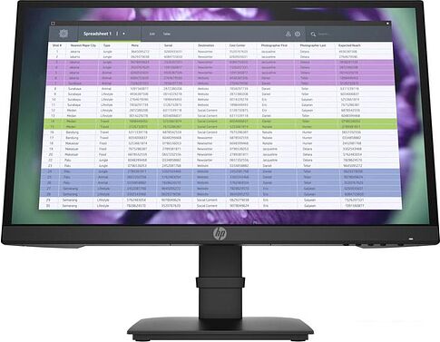 Монитор HP P22 G4