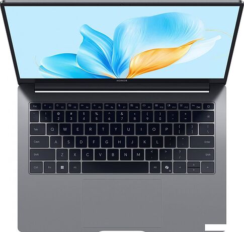 Ноутбук HONOR MagicBook X14 2025 FRG-X 5301ALXJ
