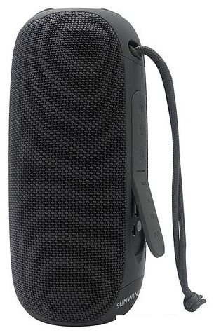 Беспроводная колонка SunWind SW-PS106 (черный)