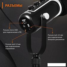 Проводной микрофон SunWind SW-SM500G