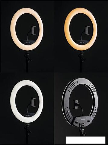 Кольцевая лампа Raylab RL-0114 Kit