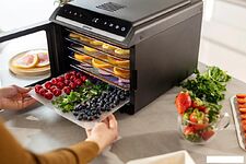 Сушилка для овощей и фруктов Gorenje FDK600DB