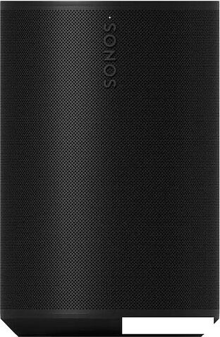Беспроводная аудиосистема Sonos Era 100 (черный)