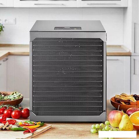 Сушилка для овощей и фруктов Kitfort KT-1956