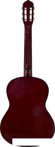 Акустическая гитара Belucci BC3905 OR