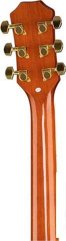 Акустическая гитара Ramis RA-C02C