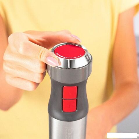 Погружной блендер Ufesa BP4654 Vario Max