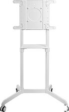 Кронштейн CACTUS CS-ST1146WT