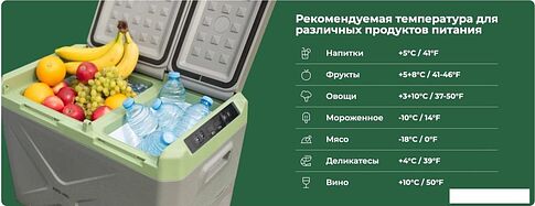 Компрессорный автохолодильник Artelv ARD30L 24.1 (серый/зеленый)