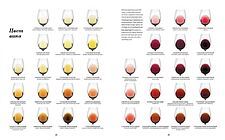 КоЛибри. Wine Folly. Издание Магнум, детализированное (Мадлен Пакетт; Джастин Хэммек)