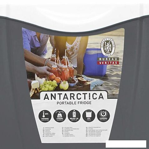 Термобокс Picnic Antarctica 12л (серый)