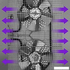 Сушилка для овощей и фруктов Kitfort KT-1976