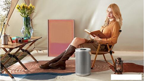 Очиститель воздуха SmartMi Air Purifier P2 ZMKQJHQP21