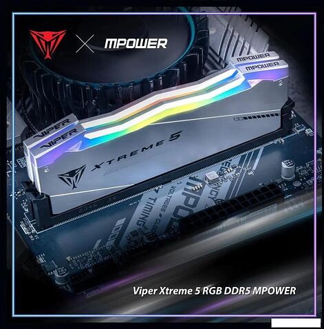 Оперативная память Patriot Viper Xtreme 5 2x24ГБ DDR5 6400 МГц PVXR548G64C32KM