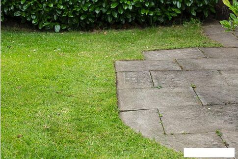 Триммер Ryobi Подрезчик кромок RY18EGA-0 (без АКБ)