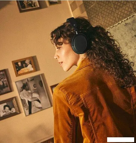 Наушники Sennheiser Accentum Plus (черный)