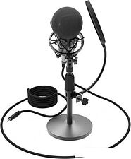 Микрофон Ritmix RDM-175