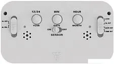 Радиочасы Ritmix CAT-100 (белый)