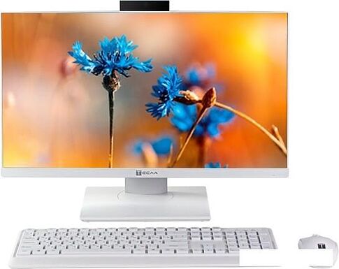 Моноблок ТЕСЛА P24WP 2116500