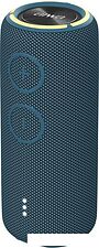 Беспроводная колонка Aiwa PAS-H300 (темно-синий)