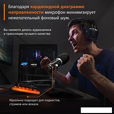 Проводной микрофон SunWind SW-SM500G