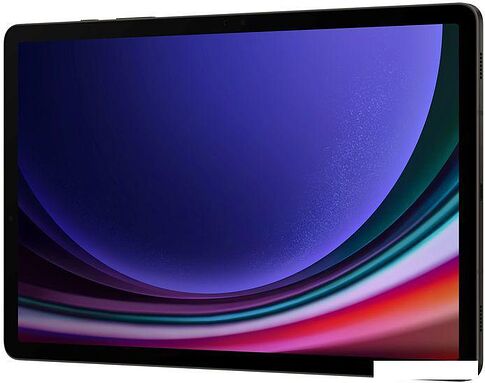 Планшет Samsung Galaxy Tab S9 5G SM-X716 12GB/256GB (графитовый)