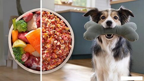 Мясорубка Bosch Serie 6 MFWS609W