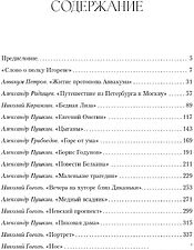 Набор книг издательства Альпина Диджитал. Полка. О главных книгах русской литературы (Сапрыкин Ю. и др.)