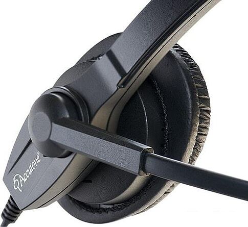 Наушники с микрофоном Accutone WB610 RJU