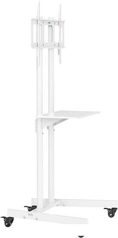 Кронштейн CACTUS CS-ST04WT