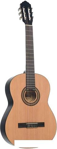 Акустическая гитара Veston 4/4 C-50A SP/N
