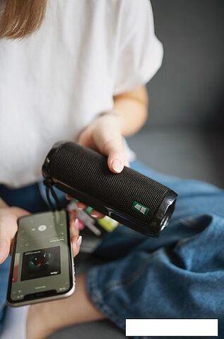 Беспроводная колонка More Choice BS22 (черный)