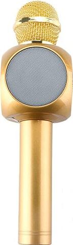 Микрофон Wster WS-1816 (золотистый)