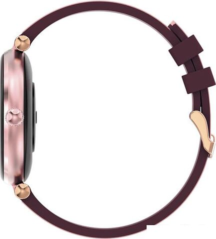 Умные часы Canyon Semifreddo SW-61 (бордовый)